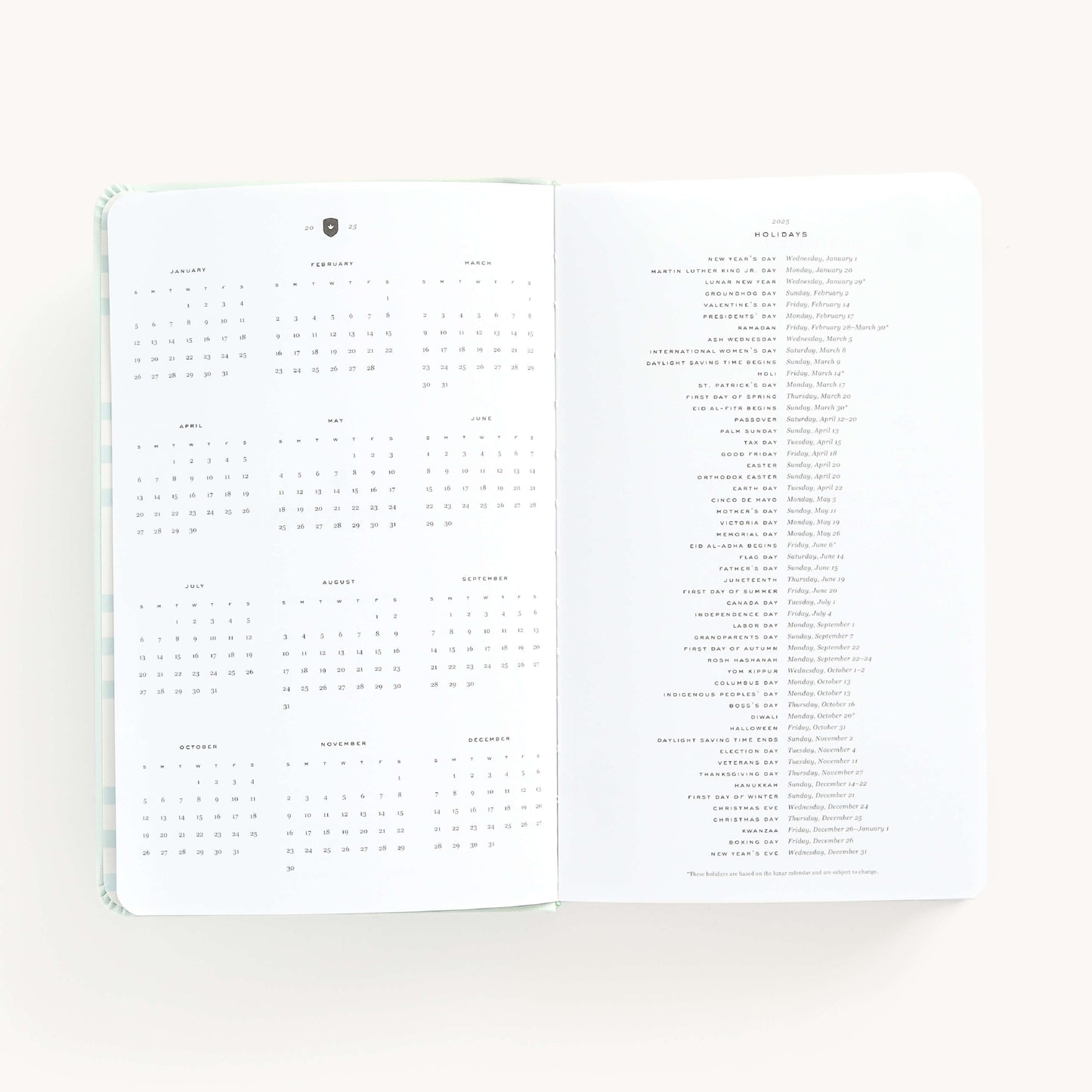 2025 Daily, Dapperdesk Planner, Sea Salt