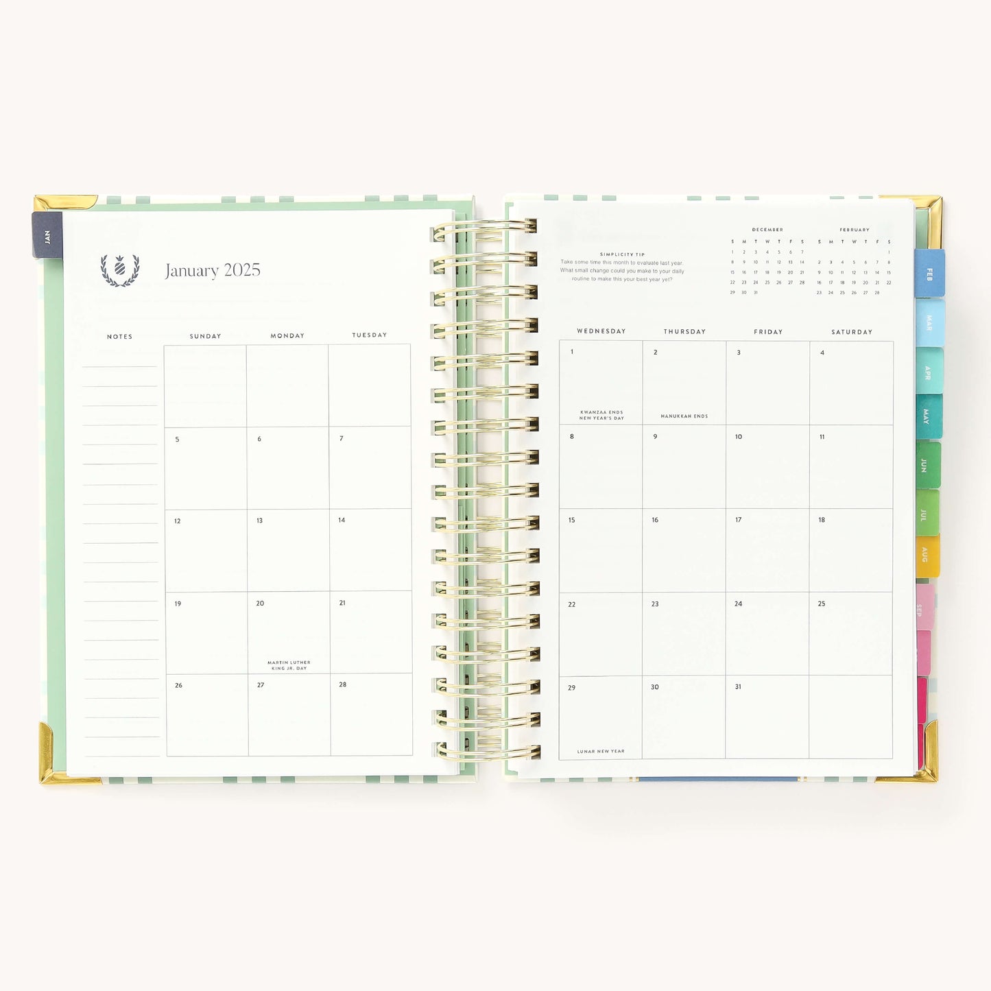 2025 Daily, Simplified Planner, Pistachio Plaid