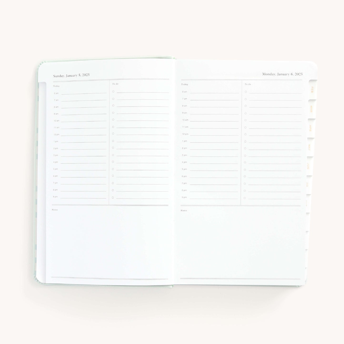 2025 Daily, Dapperdesk Planner, Sea Salt