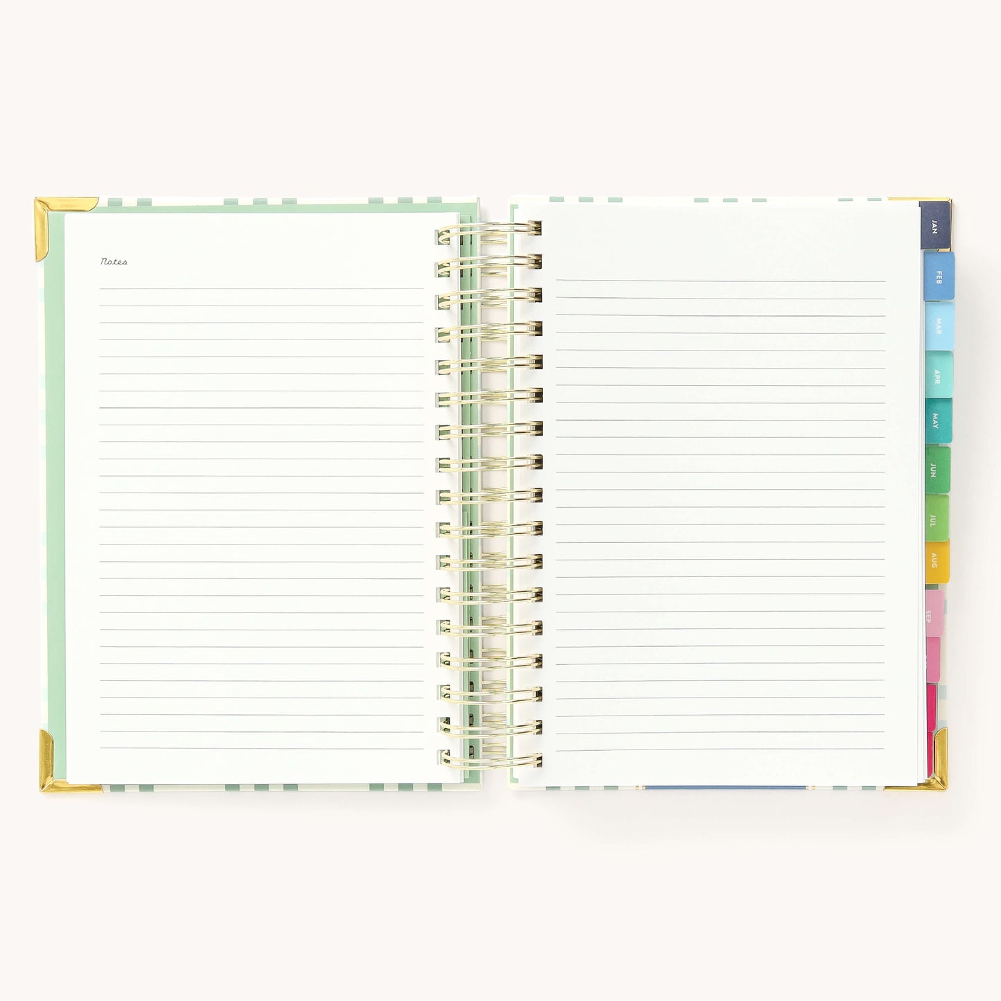 2025 Daily, Simplified Planner, Pistachio Plaid