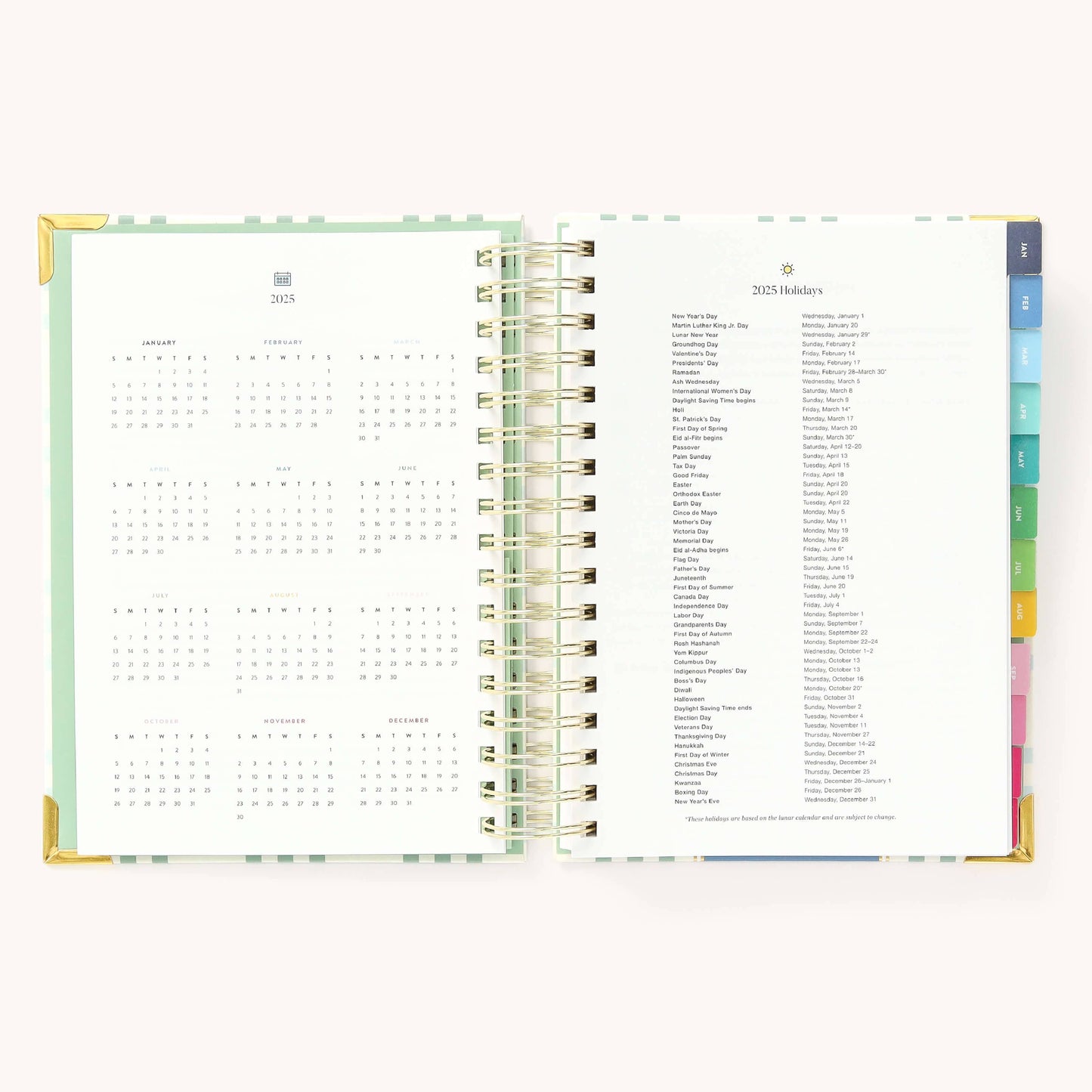 2025 Daily, Simplified Planner, Pistachio Plaid