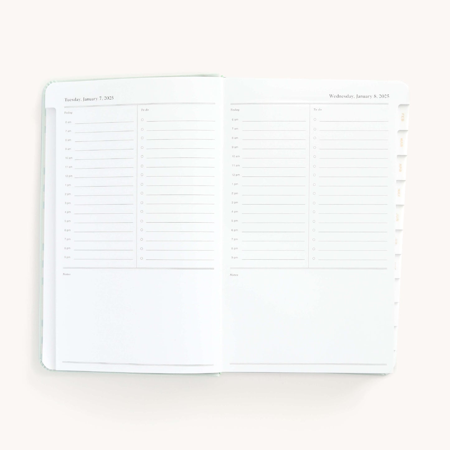 2025 Daily, Dapperdesk Planner, Sea Salt