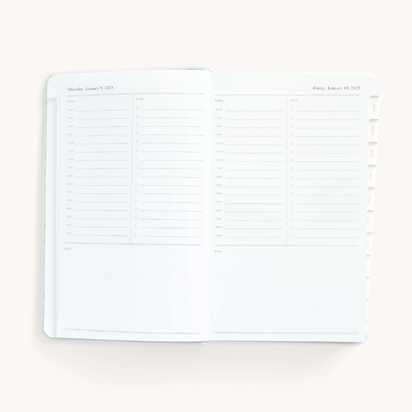 2025 Daily, Dapperdesk Planner, Sea Salt