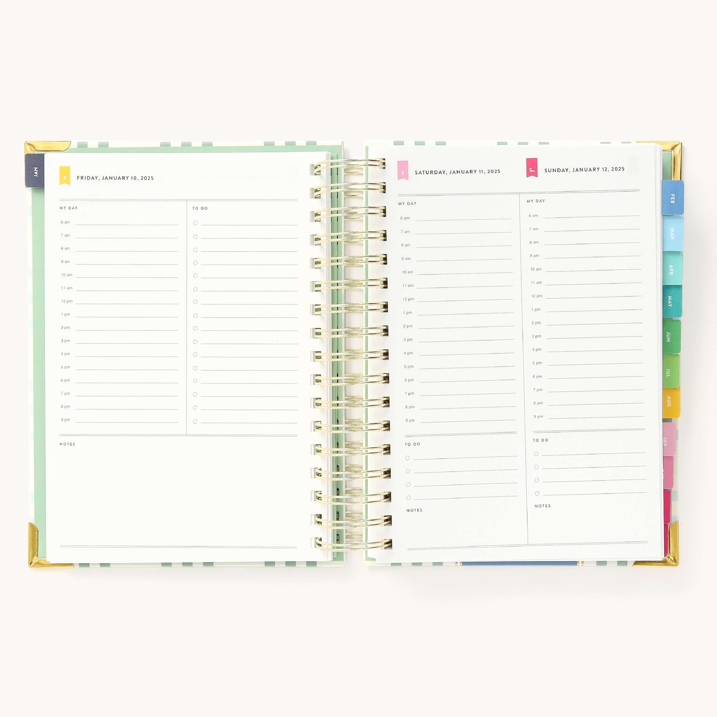 2025 Daily, Simplified Planner, Pistachio Plaid