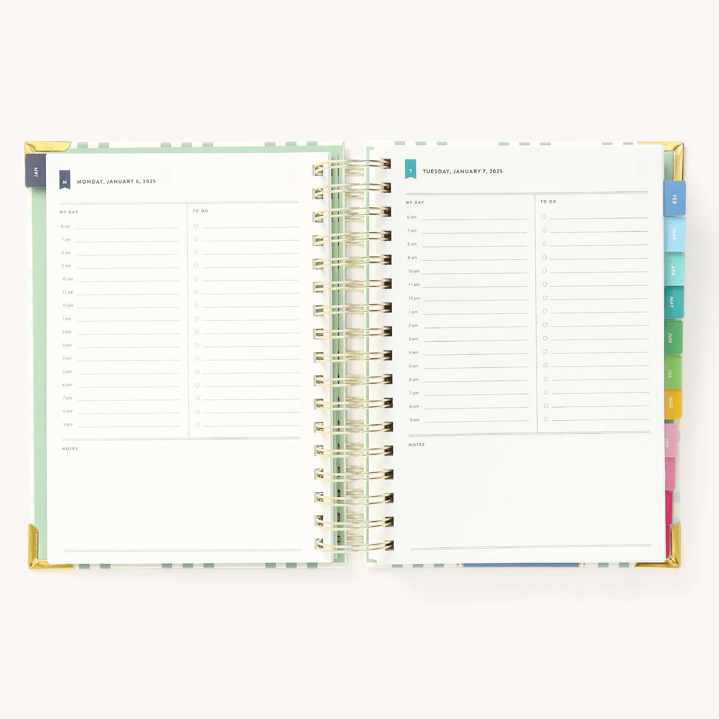 2025 Daily, Simplified Planner, Pistachio Plaid