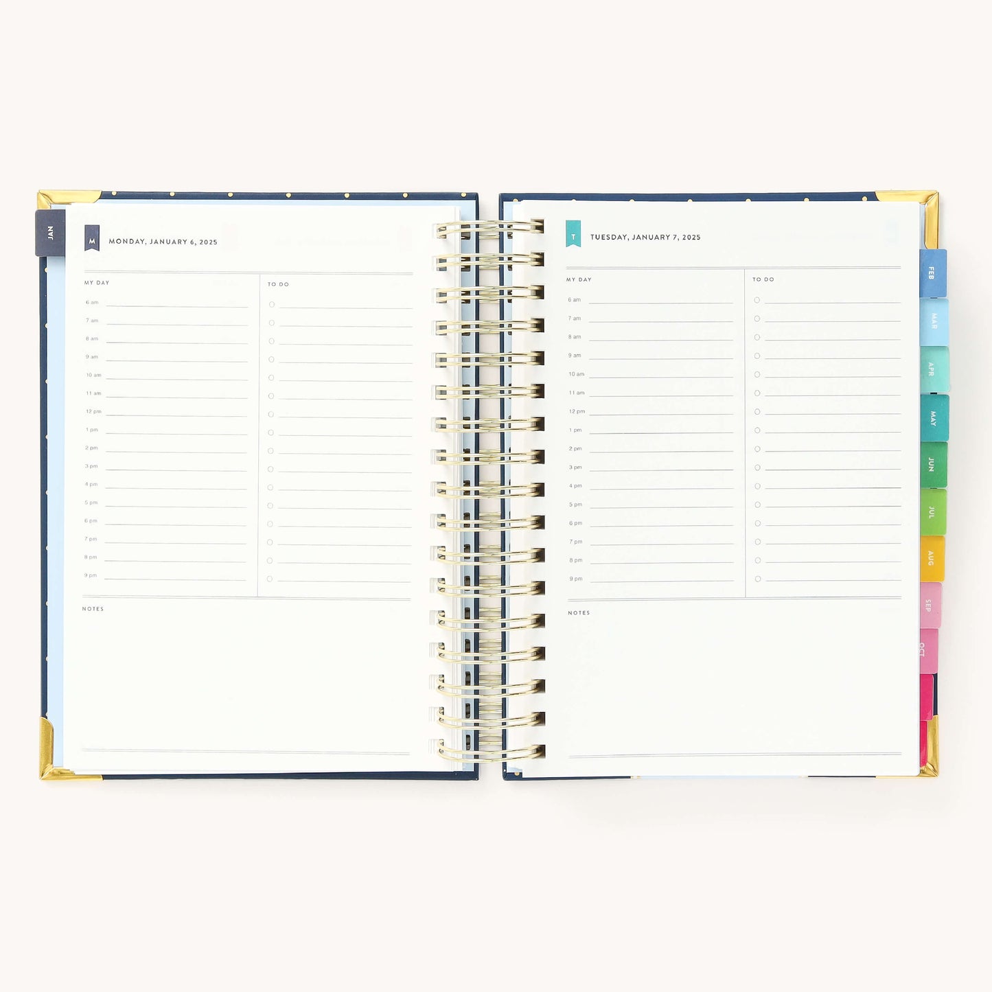 2025 Daily, Simplified Planner, Dainty Dot