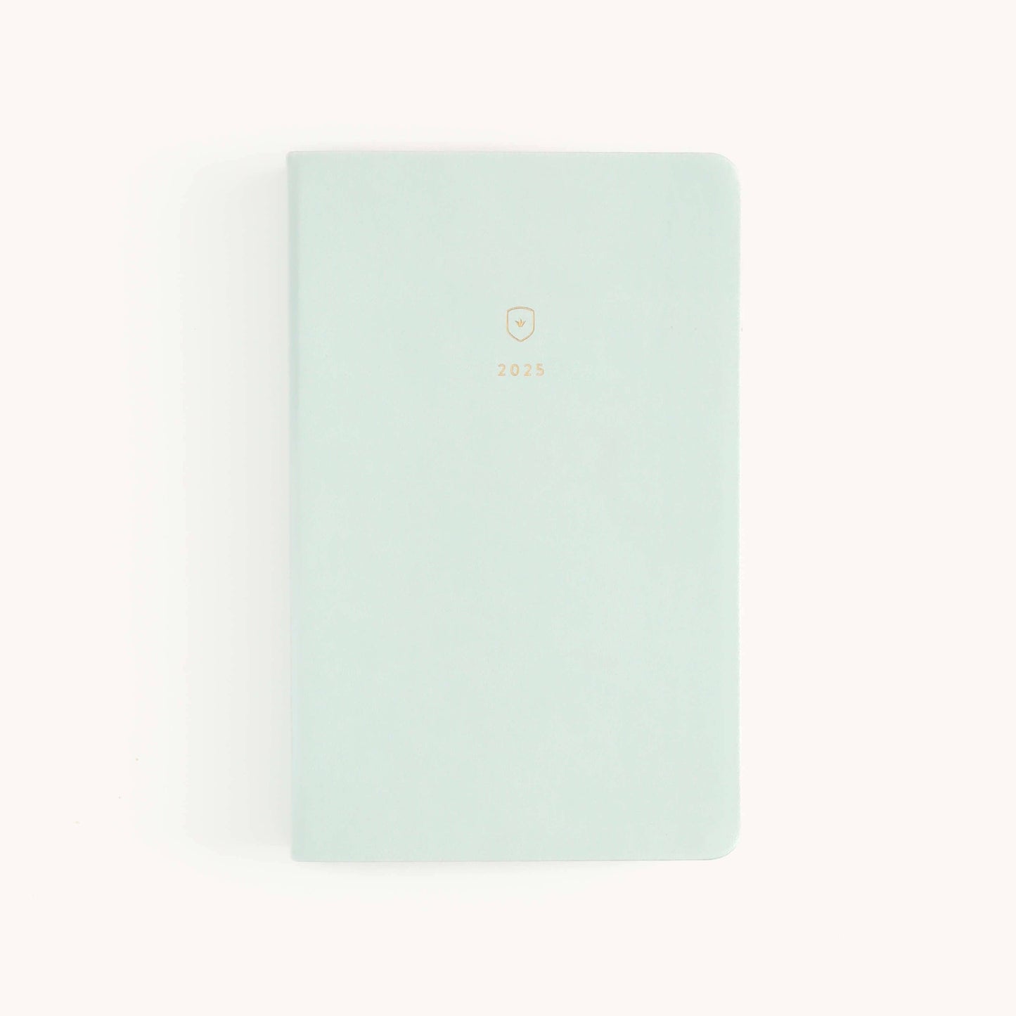 2025 Daily, Dapperdesk Planner, Sea Salt