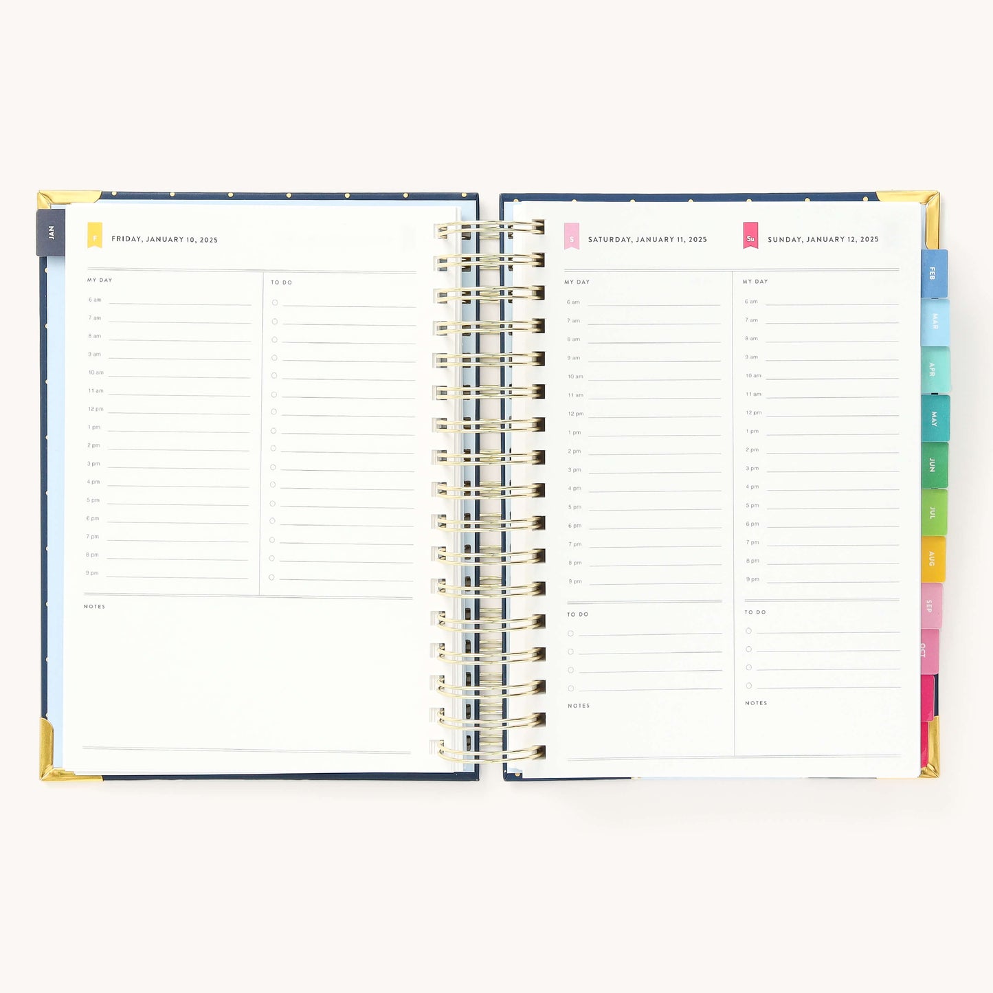 2025 Daily, Simplified Planner, Dainty Dot