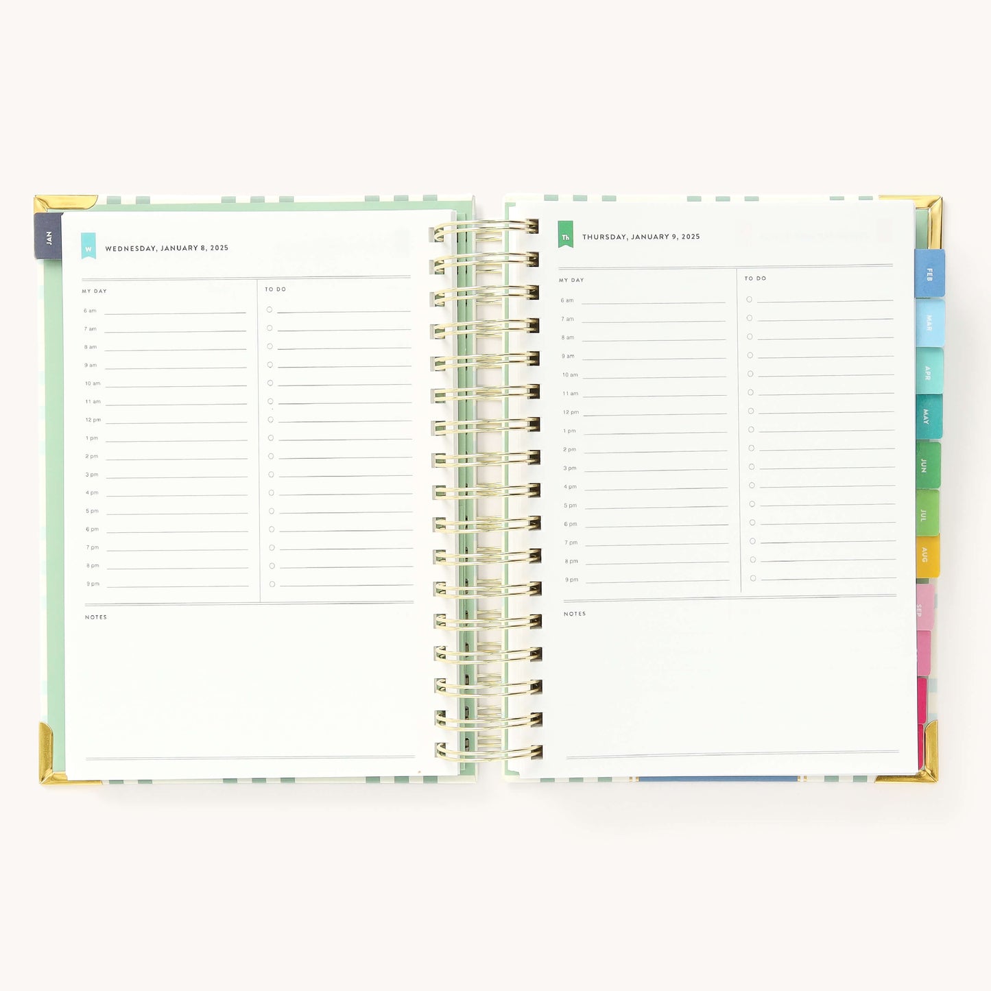 2025 Daily, Simplified Planner, Pistachio Plaid