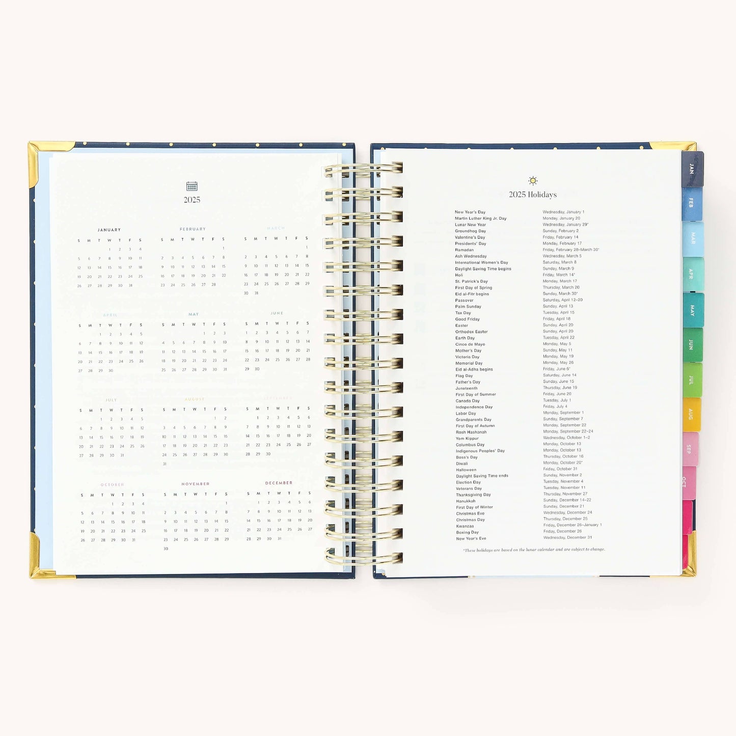 2025 Daily, Simplified Planner, Dainty Dot