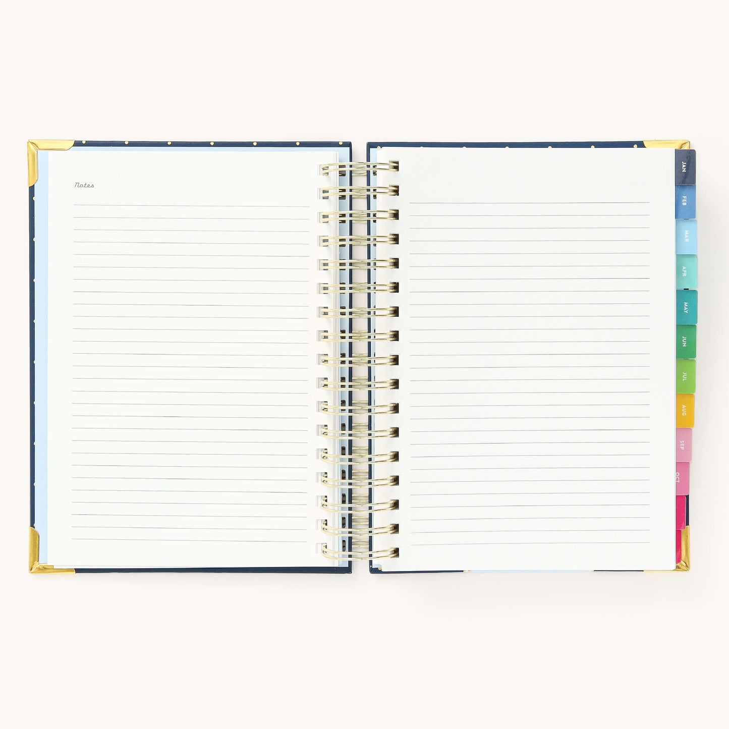 2025 Daily, Simplified Planner, Dainty Dot