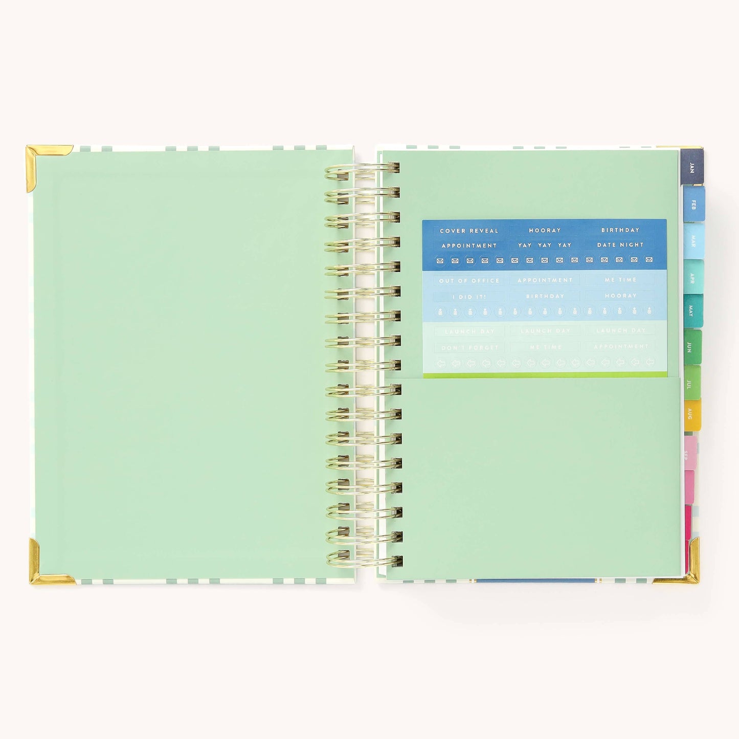 2025 Daily, Simplified Planner, Pistachio Plaid