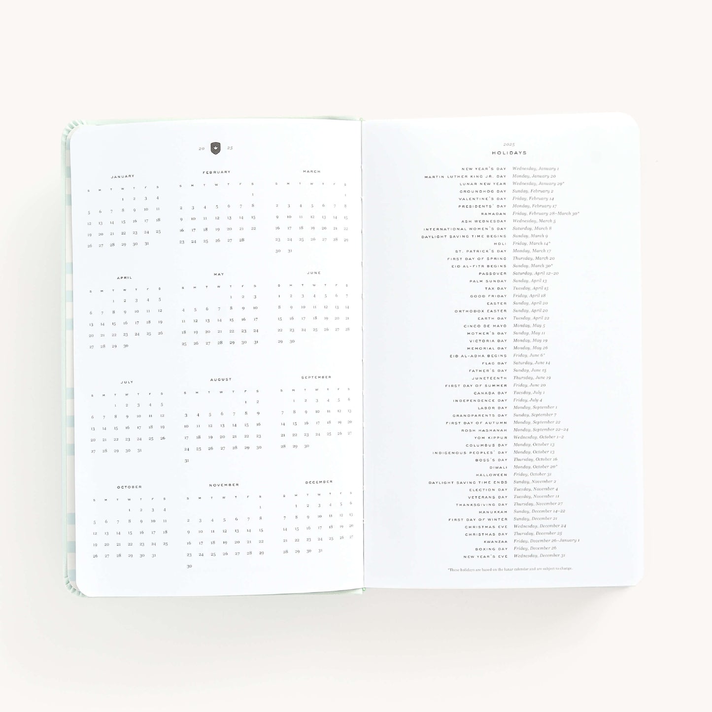 2025 Daily, Dapperdesk Planner, Sea Salt